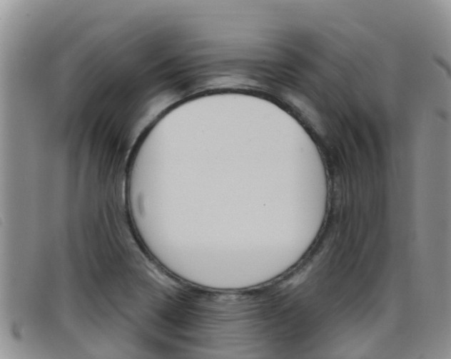 X0000098211322200804241053