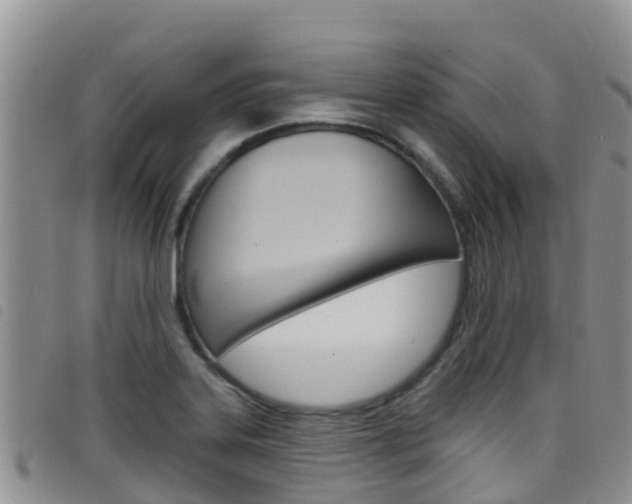 X0000098211323200804241053