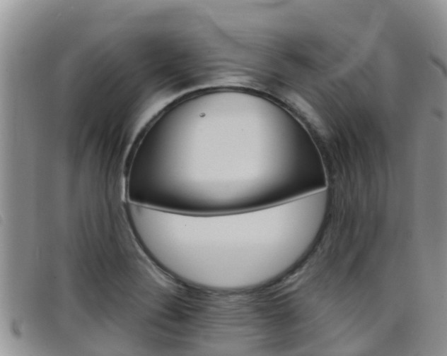 X0000098211324200804241053