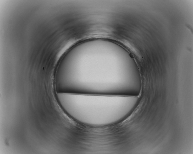 X0000098211325200804241053