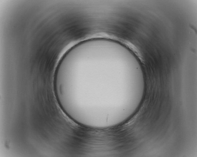 X0000098211326200804241053