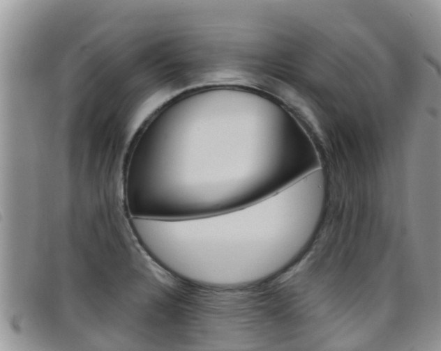 X0000098211328200804241053