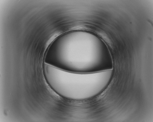 X0000098211330200804241053