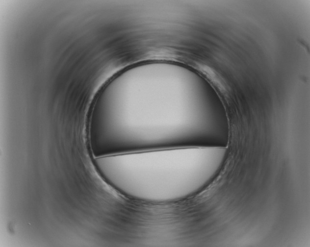 X0000098211331200804241053