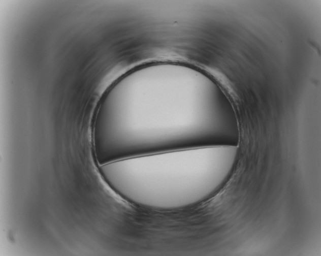 X0000098211335200804241053