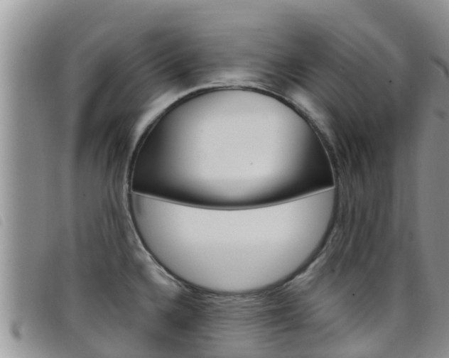 X0000098211336200804241053