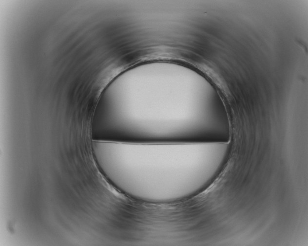 X0000098211337200804241053