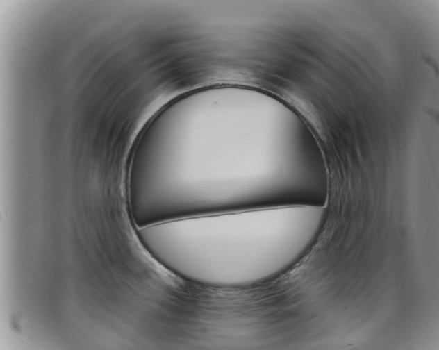 X0000098211339200804241053