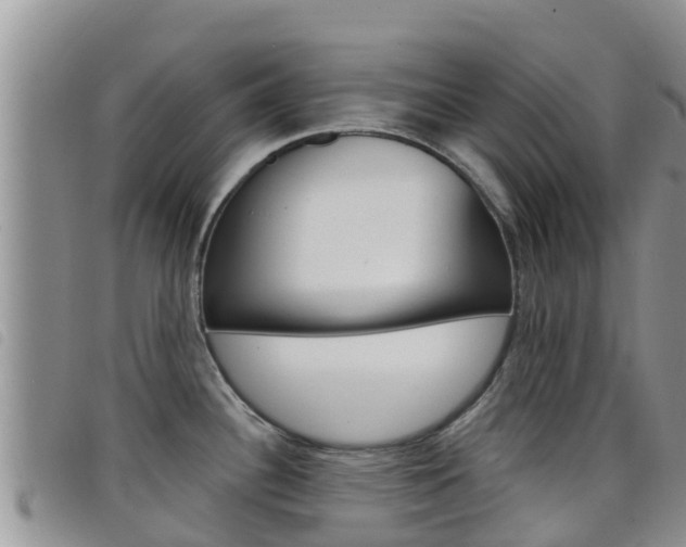 X0000098211340200804241053