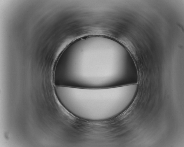 X0000098211342200804241053