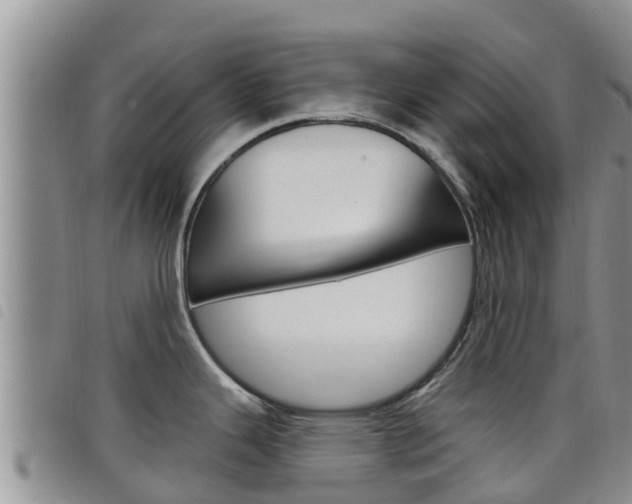 X0000098211343200804241053
