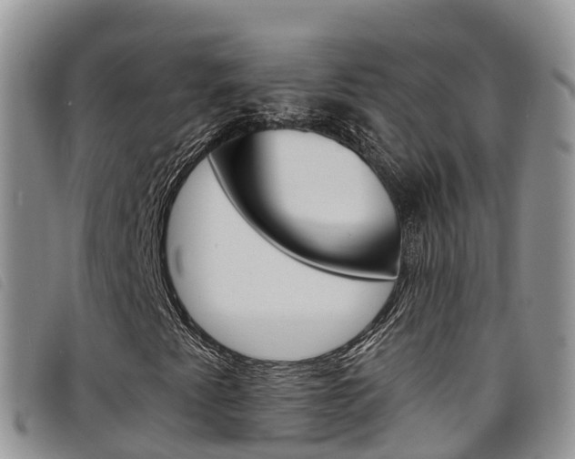 X0000098211345200804241052