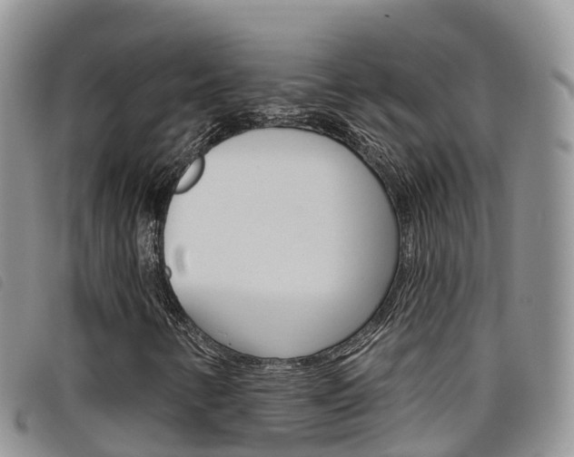 X0000098211346200804241052