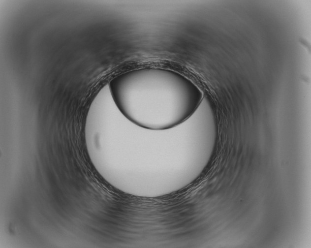 X0000098211348200804241052