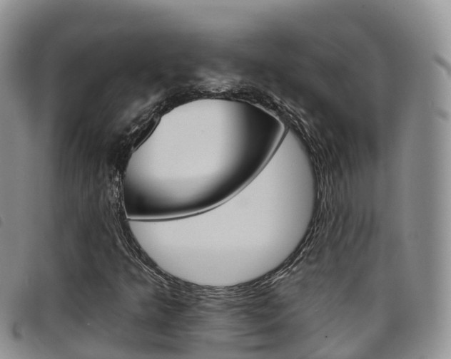 X0000098211349200804241052