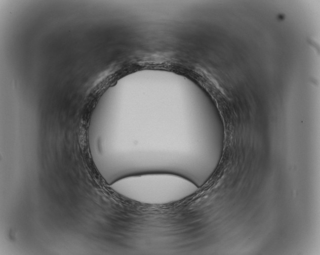 X0000098211350200804241052