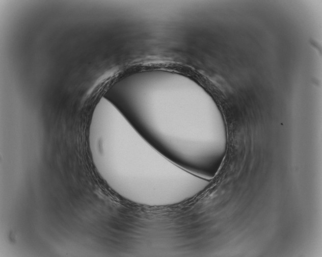 X0000098211351200804241052