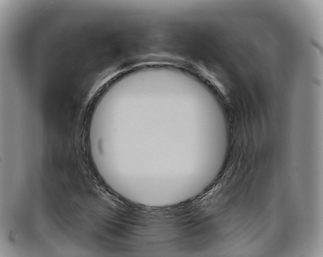 X0000098211352200804241052