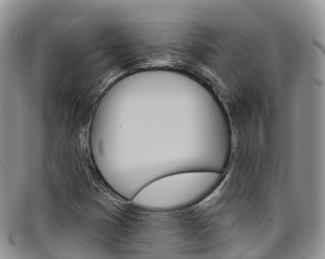 X0000098211353200804241052