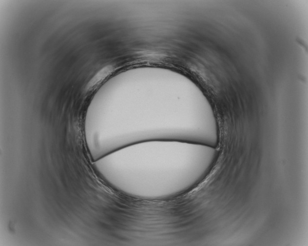 X0000098211354200804241052
