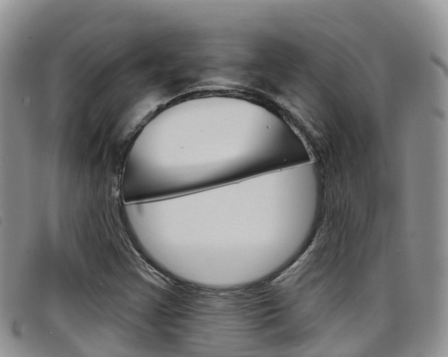 X0000098211355200804241052
