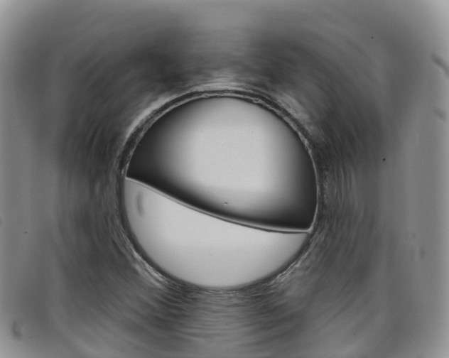 X0000098211356200804241052