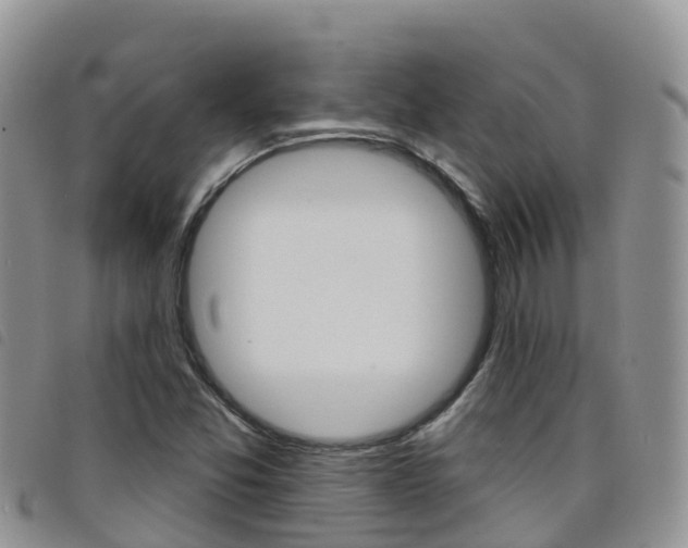 X0000098211357200804241052