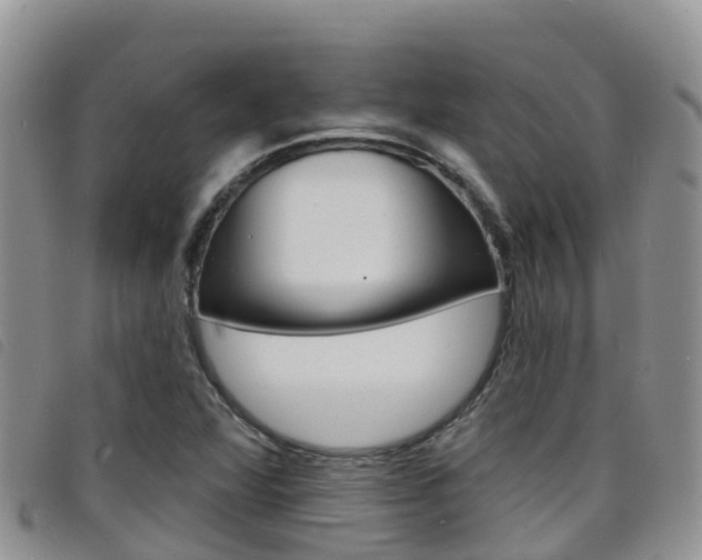 X0000098211360200804241052