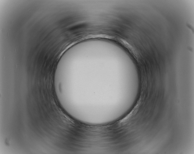 X0000098211361200804241052