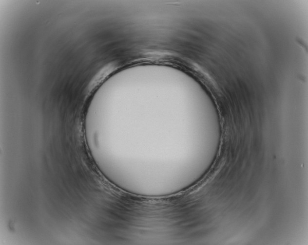 X0000098211362200804241052