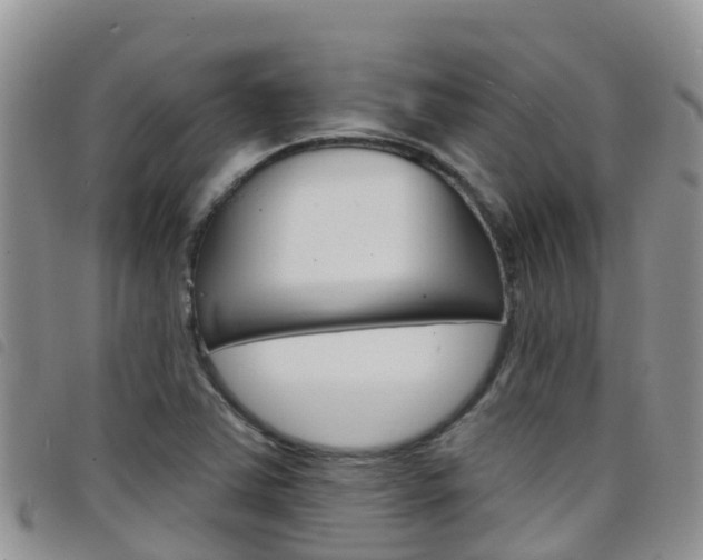 X0000098211363200804241052