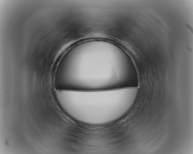 X0000098211364200804241052