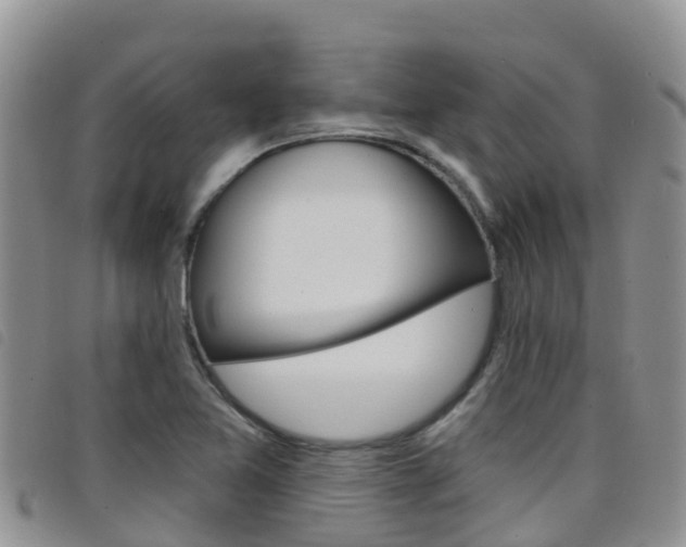 X0000098211365200804241052