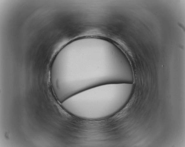 X0000098211366200804241052