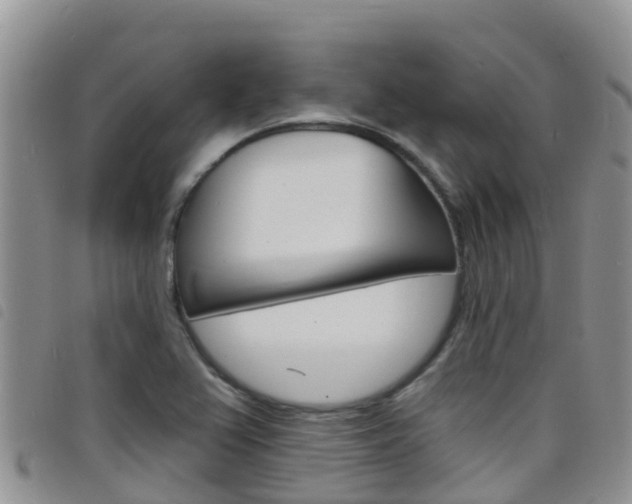X0000098211367200804241052