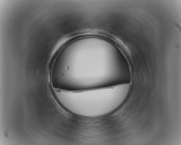 X0000098211368200804241052