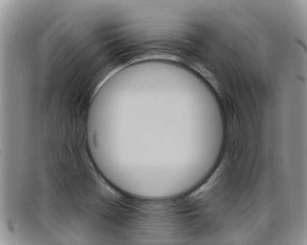 X0000098211369200804241052