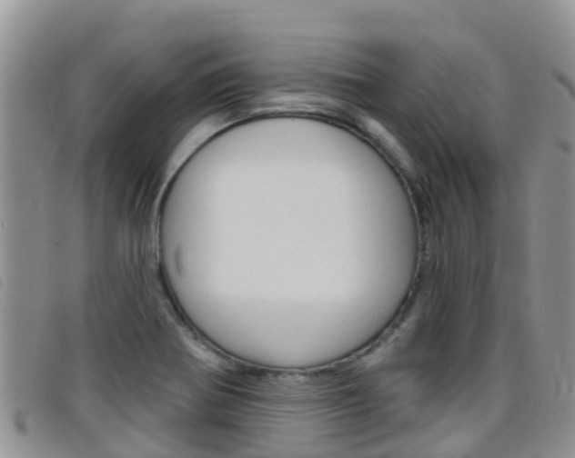 X0000098211370200804241052