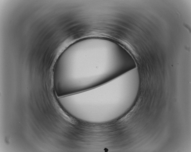 X0000098211371200804241052