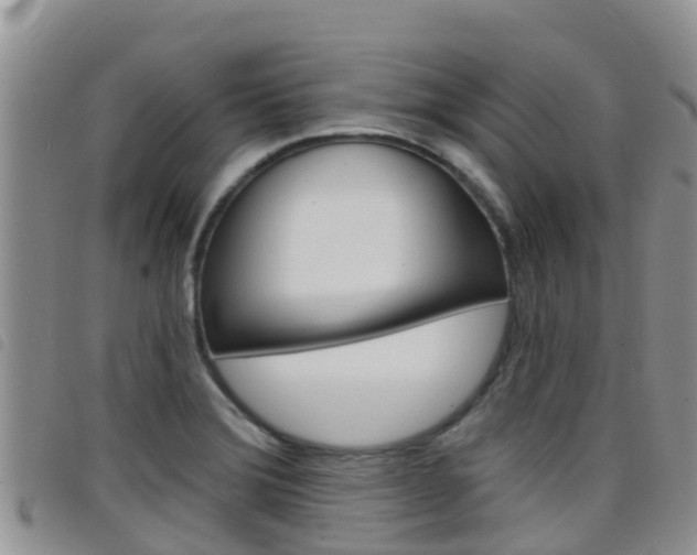 X0000098211372200804241052