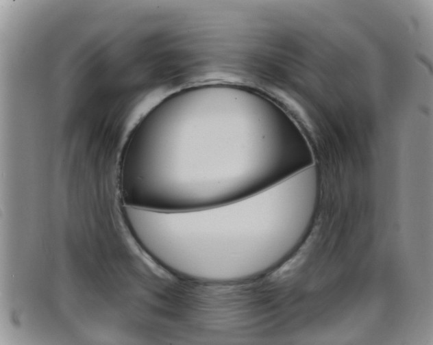 X0000098211373200804241051