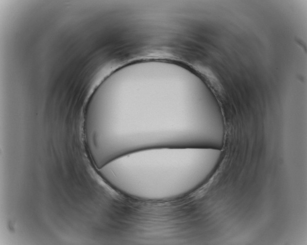 X0000098211374200804241051