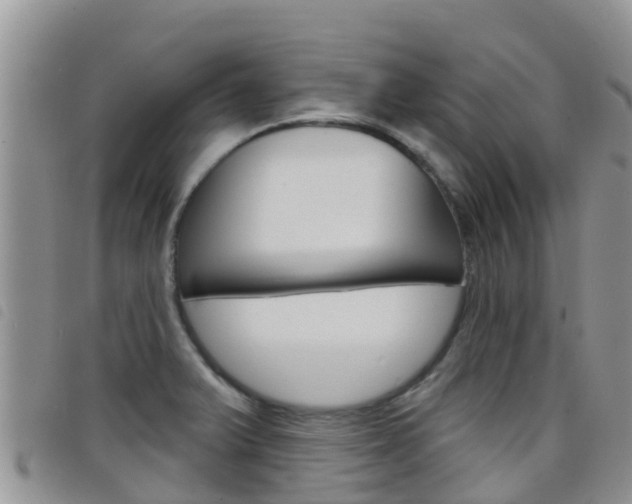X0000098211375200804241051