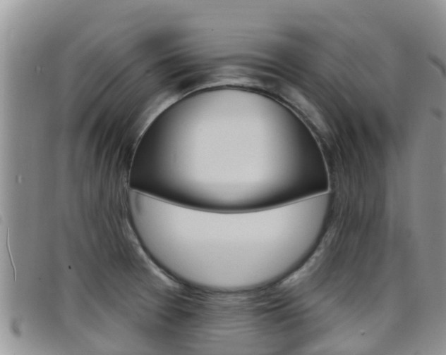 X0000098211377200804241051