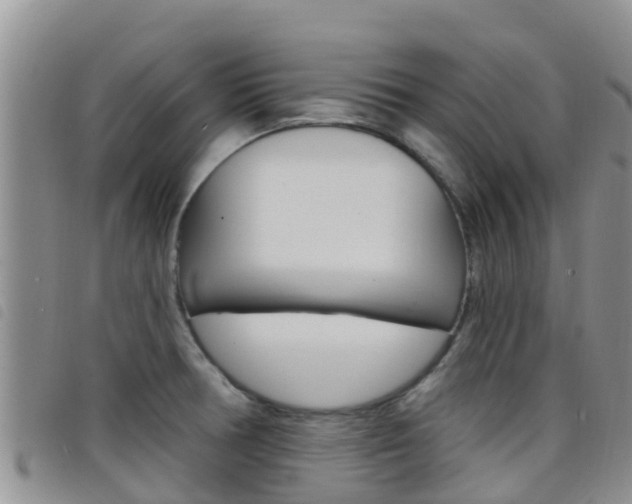 X0000098211378200804241051
