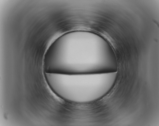X0000098211379200804241051