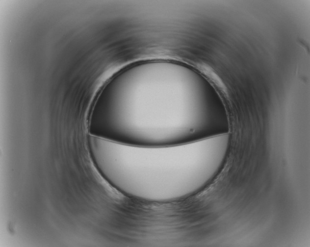 X0000098211380200804241051