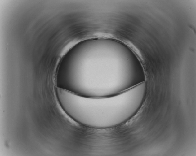 X0000098211381200804241051
