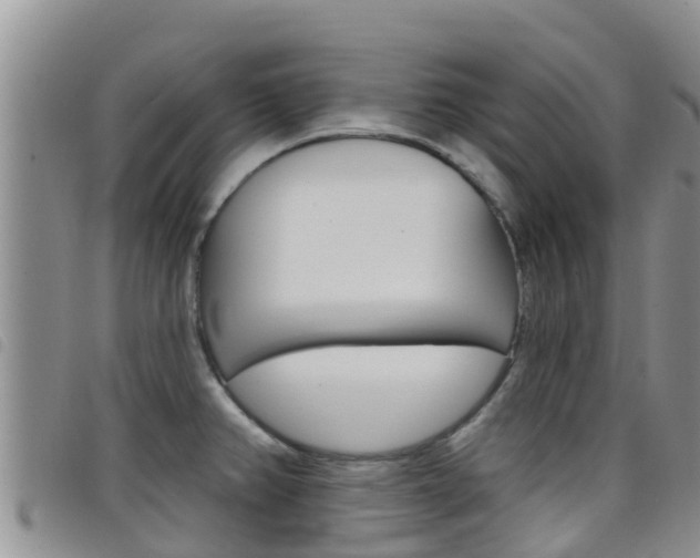 X0000098211382200804241051