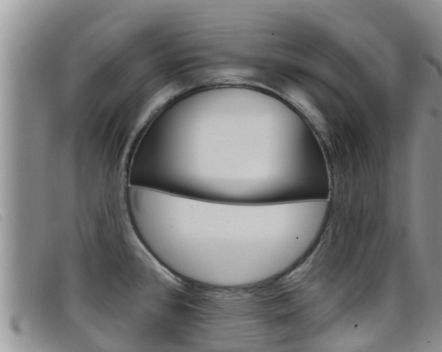 X0000098211384200804241051